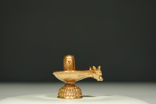 Lord Shiva Bronze Idol