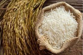 Organic Bahuroopi Rice