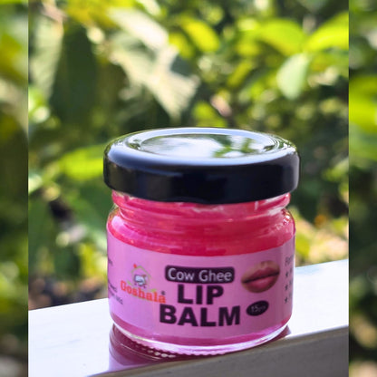 Cow Ghee Lip Balm