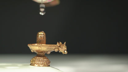 Lord Shiva Bronze Idol